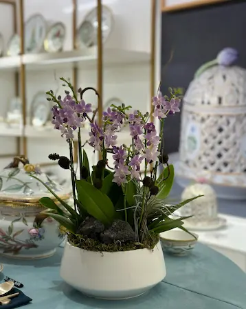 2CE1C5A8 68D1 4881 BDB5 3450679C048A